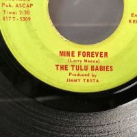 The Tulu Babies Mine Forever and Hurtin Kind on Tema Records 8.jpg