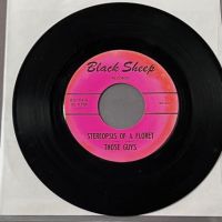 Those Guys Lookin’ At You Behind The Glasses b:w Stereopsis of A Floret on Black Sheep Records 6.jpg