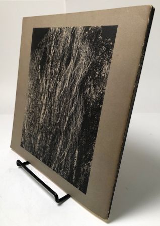 Alfred Stieglitz Photographer by Doris Bry Published by Museum of Fine Arts Boston 1965 Softcover 12.jpg