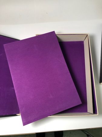 First Edition of Picasso 347 2 Volume Set with Clamshell 1970 9.jpg