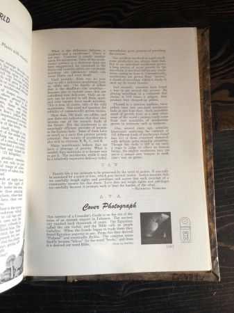 Rosicrucian Digest Magazine bound in hardback end boards 8.jpg