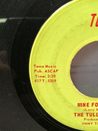 The Tulu Babies Mine Forever and Hurtin Kind on Tema Records 9.jpg