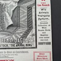 1902 Baltimore Zoo Poster with Chiquita The Living Doll and Morelli Queen of Jaguars 2.jpg