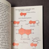 Hallucinogenic Plants A Golden Guide Book 7.jpg (in lightbox)