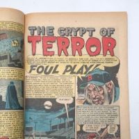 Haunt of Fear No 19 June 1953 published by EC Comics 13.jpg