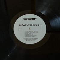 Meat Puppets II 7.jpg