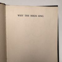 Prentiss Taylor Study and Mock Up Book for Why Birds Sing by Jacques Delamain 6.jpg