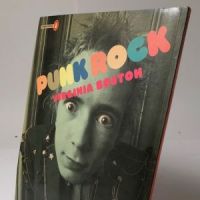 Punk Rock by Virginia Boston Published by Penguin Books 1978 1st Edition 12.jpg