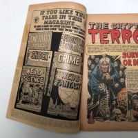 Tales From The Crypt No 31 August 1952 Published by EC Comics 8.jpg