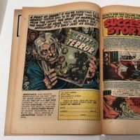 Tales From the Crypt No. 46 March 1955 17.jpg