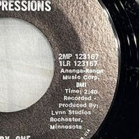 The Fabulous Depressions Can’t Tell You b:w One By One on Maad Records 11.jpg