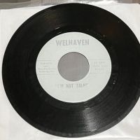 The Ferraris Can’t Explain on Welhaven Records 5.jpg