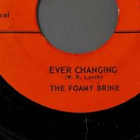 The Foamy Brine Tell Her b:w Ever Changing on Brine Records 8.jpg
