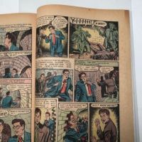 The Haunt of Fear No 17 August 1950  EC Comics 14.jpg