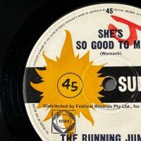 The Running Jumping Standing Still Little Girl on Sunshine Records 10.jpg