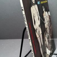 The Troubles of Janice #2 Graphic Novel by Eric Von Gotha 2.jpg