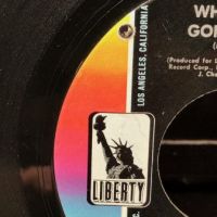 The Unrelated Segments Where You Gonna Go? on Liberty with Factory Sleeve 3.jpg