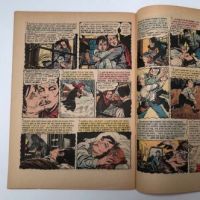 The Vault of Horror No. 35 March 1954 Published by EC Comics 23.jpg