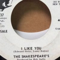 White Label Promo The Shakespeare’s I Like You 10.jpg