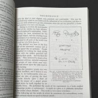 Witchcraft Magic and Alchemy by Grillot de Givry 1971 Softcover Dover 5.jpg