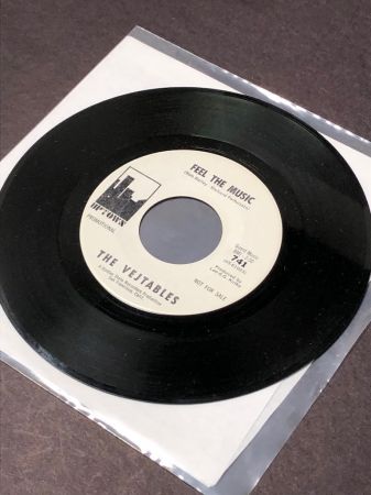 The Vejtables Shadows on Uptown 741 white label promo 14.jpg