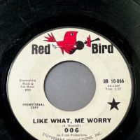 006 Like What, Me Worry b:w Why Can’t I Stay on Red Bird PROMO 2.jpg