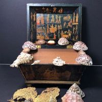 1840s Shell Collection in Victorian Decoupage Sarcophagus Box 15.jpg