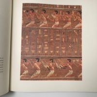 Egyptian Paintings Of The Middle Kingdom By Edward L. B. Terrace Haredback with Slipcase 1968 17.jpg