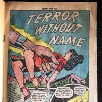 Journey Into Fear No. 7 May 1952 Published by Superior Comic 21 (in lightbox)