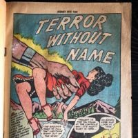 Journey Into Fear No. 7 May 1952 Published by Superior Comic 21.jpg