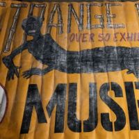 Mark Frierson Museum Banners 9.jpg