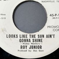 Roy Junior Victim of Circumstances b:w on Hickory Records White Label Promo 9.jpg