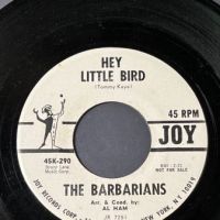 The Barbarians Hey Little Bird : You've Got To Understand on Joy Records White Label Promo with Factory Sleeve 5.jpg