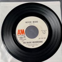 The Magic Mushrooms It’s-A-Happening on A&M Records White Label Promo 6.jpg (in lightbox)