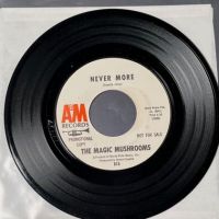 The Magic Mushrooms It’s-A-Happening on A&M Records White Label Promo 6.jpg