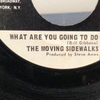 The Moving Sidewalks 99th Floor on Wand Promo 8 (in lightbox)