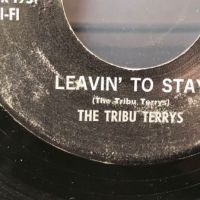 The Tribu Terrys Leavin’ To Stay on Prism 3.jpg (in lightbox)