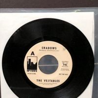 The Vejtables Shadows on Uptown 741 white label promo 1.jpg