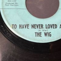 The Wig Drive It Home on Goyle Records 9.jpg