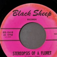 Those Guys Lookin’ At You Behind The Glasses b:w Stereopsis of A Floret on Black Sheep Records 9.jpg
