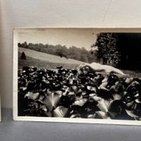Two Photos and Negative Nude Study of Woman in Pond 6.jpg