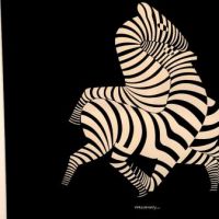 vasarely zebra litho 13 (in lightbox)