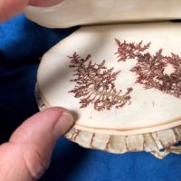 Victorian Era Scallop Shell Book with Pressed Flowers 13.jpg