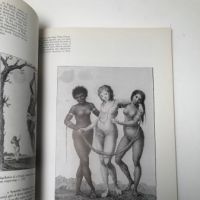 William Blake The Seer and His Work by Milton Klonsky Harmony Books 5.jpg