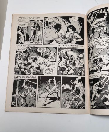 Witzend No 2 Wally Wood Underground Comic 11.jpg