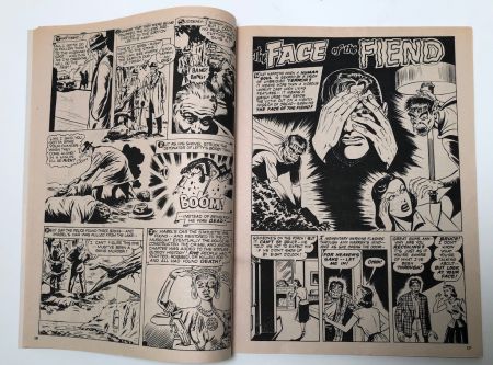 Chilling Tales of Horror April 1971 Published by Stanley Publishing 10.jpg