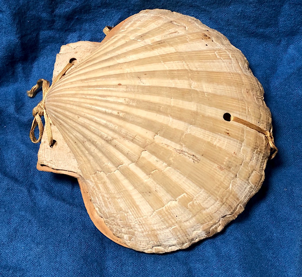 Victorian Era Scallop Shell Book with Pressed Flowers 1.jpg
