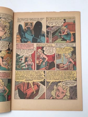 The Vault of Horror No. 35 March 1954 Published by EC Comics 17.jpg