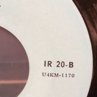 Al's Dynamics Disappointed In You on Ideal Records 8.jpg