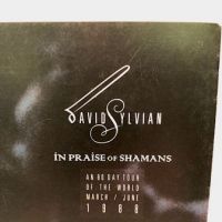 David Sylvian In Praise of Shamans World Tour Program 1988 3.jpg (in lightbox)